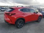 2024 Lexus NX 250 Base