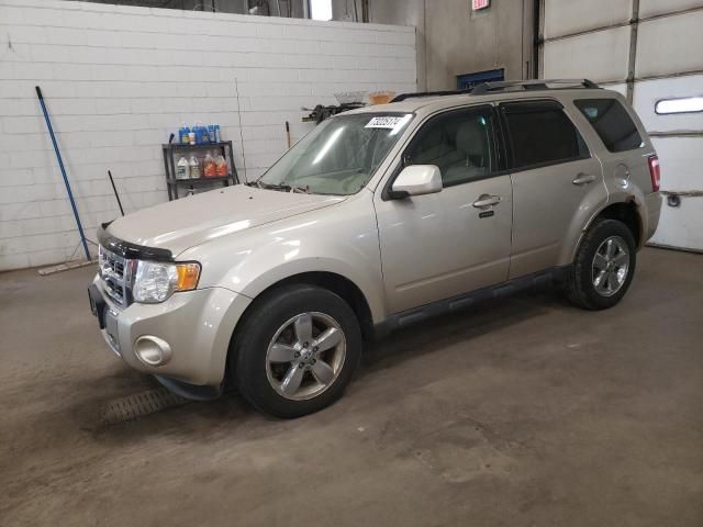 2010 Ford Escape Limited