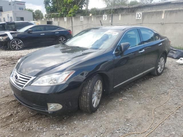 2010 Lexus ES 350