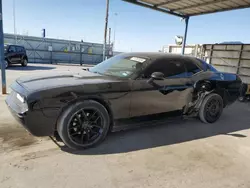 Salvage cars for sale at Anthony, TX auction: 2013 Dodge Challenger SXT