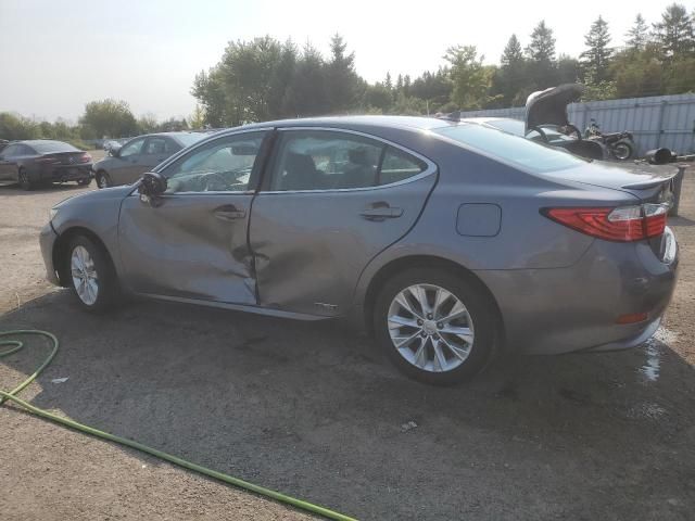 2014 Lexus ES 300H