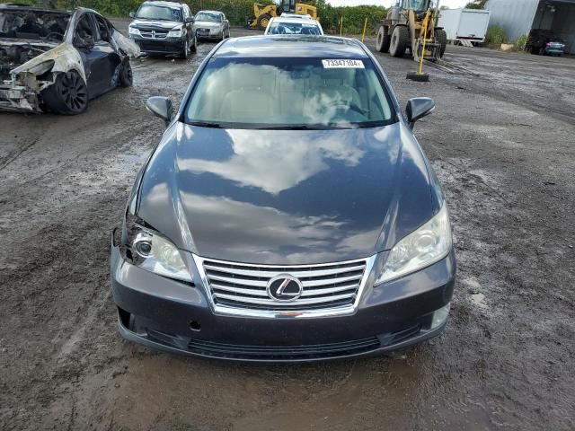 2010 Lexus ES 350