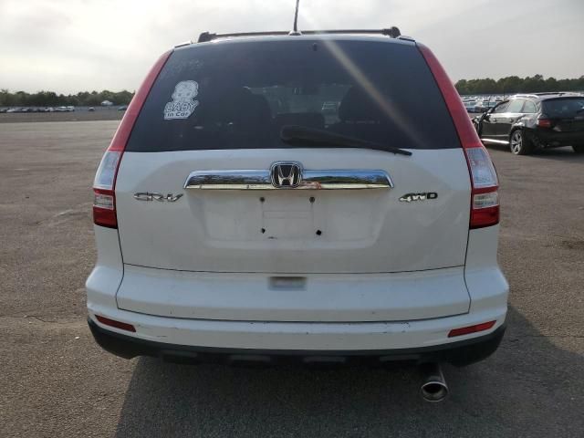 2010 Honda CR-V EXL