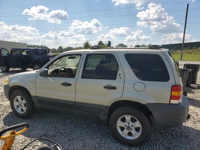 2005 Ford Escape XLT