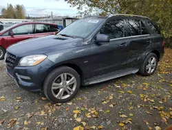 Salvage cars for sale at Arlington, WA auction: 2012 Mercedes-Benz ML 350 Bluetec