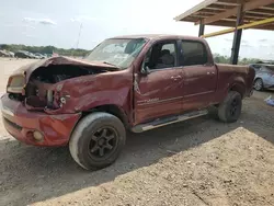 Salvage cars for sale at Tanner, AL auction: 2005 Toyota Tundra Double Cab SR5