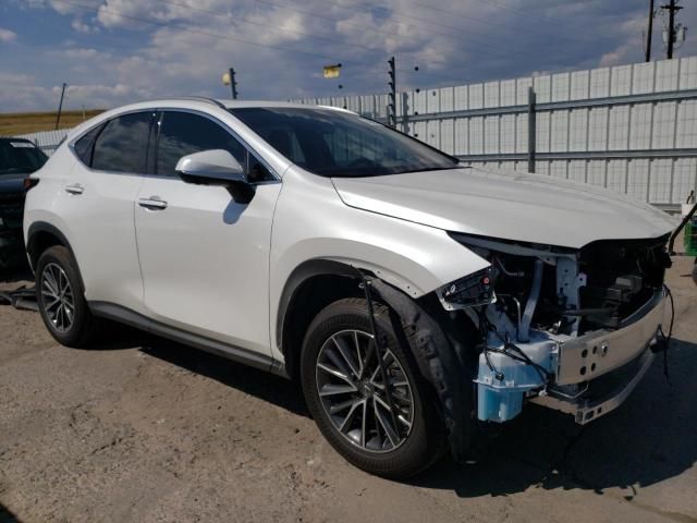 2024 Lexus NX 350H Base