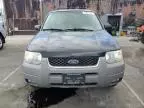 2002 Ford Escape XLT