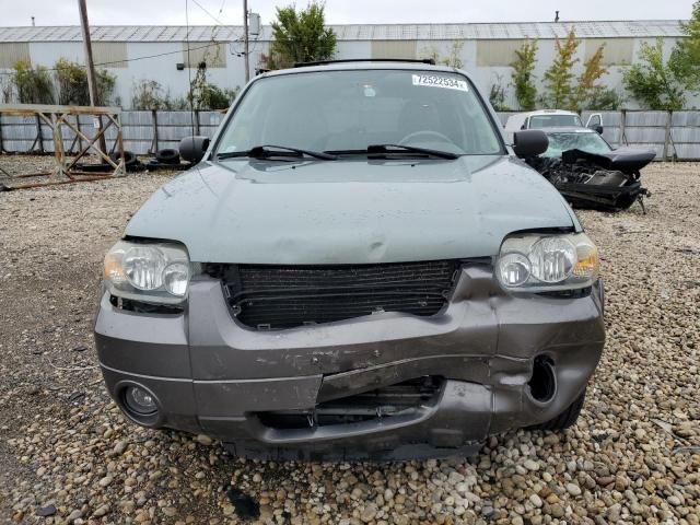 2006 Ford Escape XLT