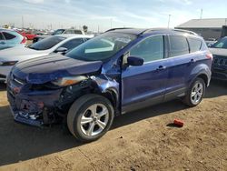 Salvage cars for sale at Brighton, CO auction: 2016 Ford Escape SE