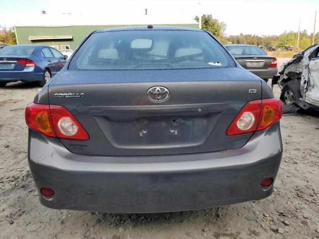 2009 Toyota Corolla Base