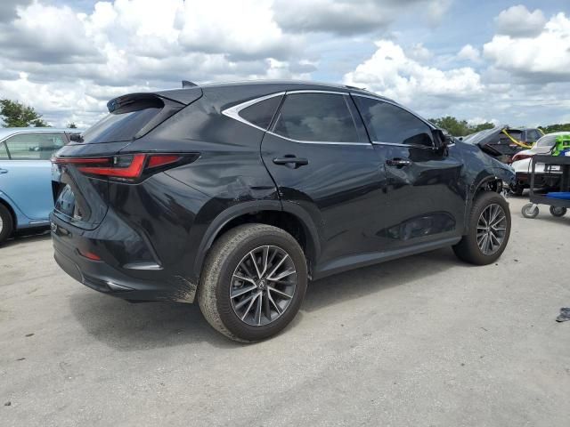 2024 Lexus NX 250 Base