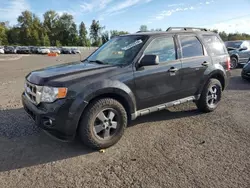 Salvage cars for sale at Portland, OR auction: 2011 Ford Escape XLT