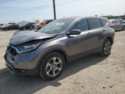 Salvage cars for sale at Indianapolis, IN auction: 2019 Honda CR-V EXL