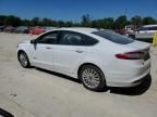 2016 Ford Fusion SE Hybrid