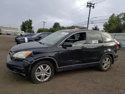 Salvage cars for sale at New Britain, CT auction: 2010 Honda CR-V EXL