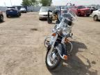 2005 Harley-Davidson Flstci