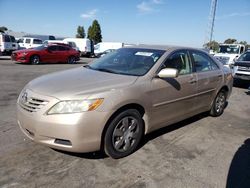 Salvage cars for sale at Hayward, CA auction: 2009 Toyota Camry Base