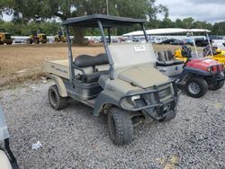 Salvage trucks for sale at Riverview, FL auction: 2015 Other Golf Cart