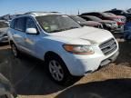 2009 Hyundai Santa FE SE