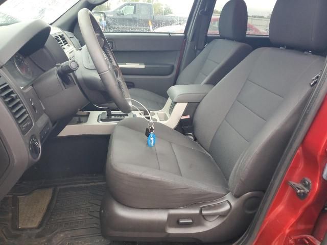 2012 Ford Escape XLT