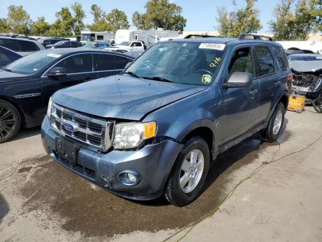 2012 Ford Escape XLT