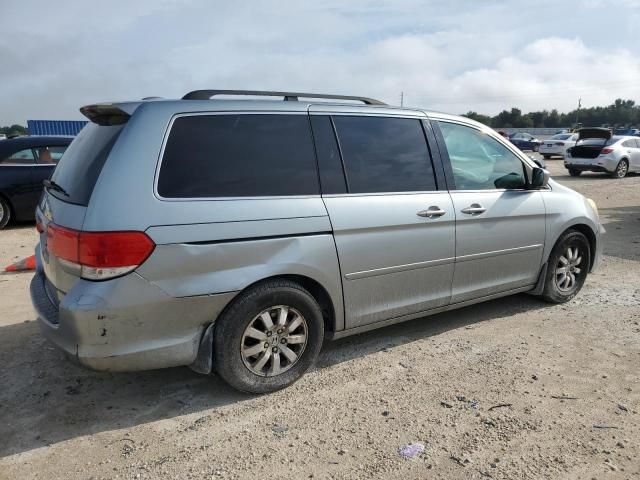 2008 Honda Odyssey EXL