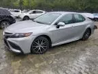 2023 Toyota Camry SE Night Shade