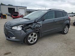 Salvage cars for sale at Harleyville, SC auction: 2016 Ford Escape SE