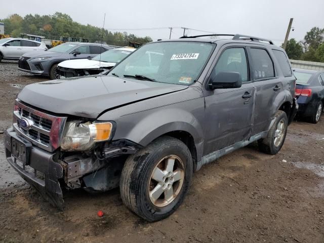 2011 Ford Escape XLT