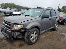 Ford salvage cars for sale: 2011 Ford Escape XLT