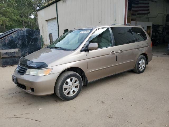 2004 Honda Odyssey EX