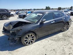 Salvage cars for sale at auction: 2008 Honda Accord EXL