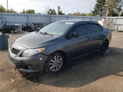 Toyota salvage cars for sale: 2010 Toyota Corolla Base