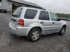 2007 Ford Escape XLT