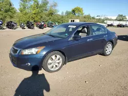 Honda salvage cars for sale: 2010 Honda Accord EXL