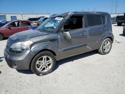 Salvage cars for sale at Haslet, TX auction: 2011 KIA Soul +