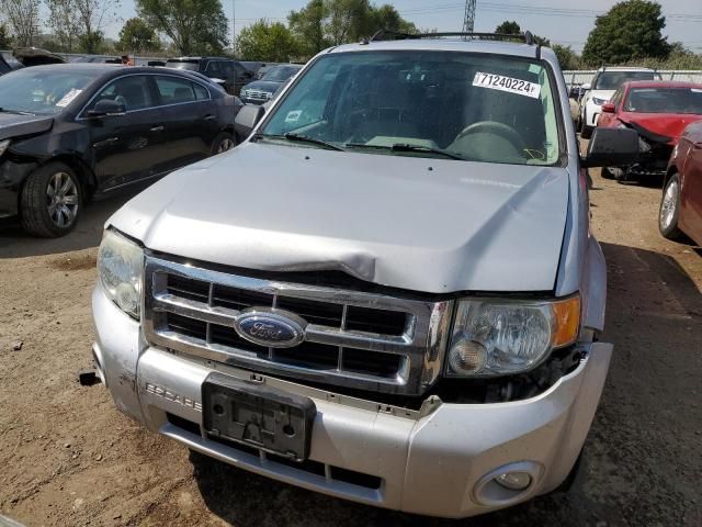 2008 Ford Escape XLT