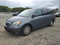 Salvage cars for sale at Windsor, NJ auction: 2010 Honda Odyssey EXL