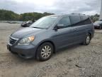 2010 Honda Odyssey EXL