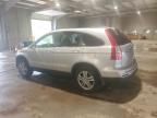 2010 Honda CR-V EXL