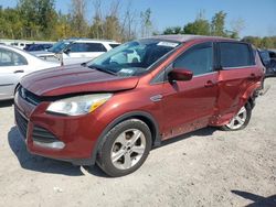 Ford salvage cars for sale: 2014 Ford Escape SE