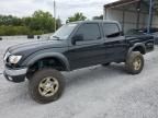 2002 Toyota Tacoma Double Cab