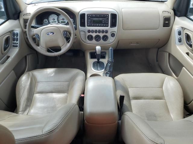 2007 Ford Escape Limited