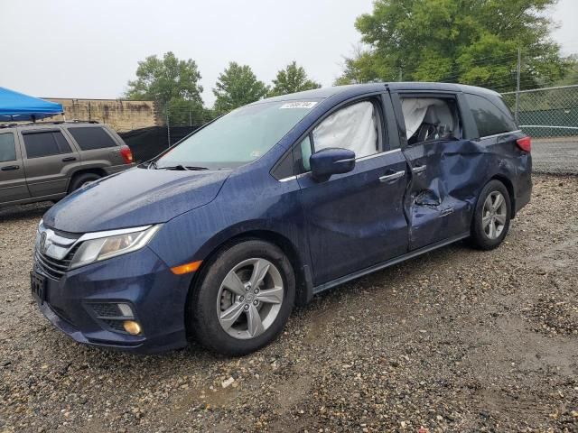 2019 Honda Odyssey EXL