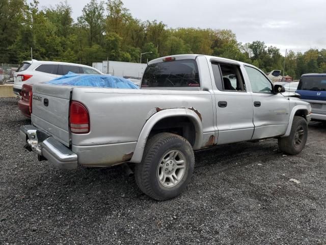 2001 Dodge Dakota Quattro