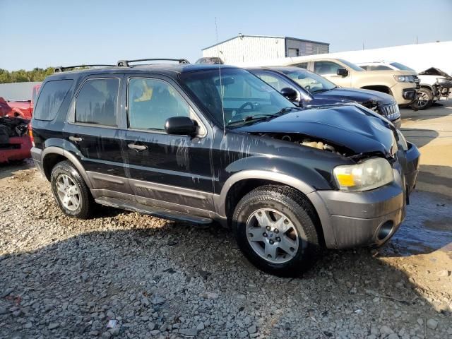 2005 Ford Escape XLT