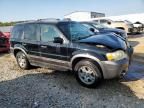 2005 Ford Escape XLT