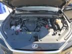 2024 Lexus TX 350 Base