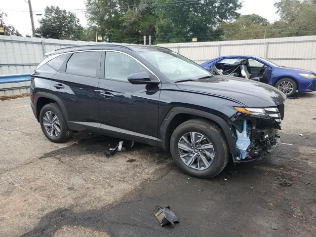 2023 Hyundai Tucson Blue